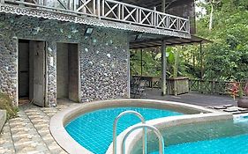 Fig Tree Hills Resort